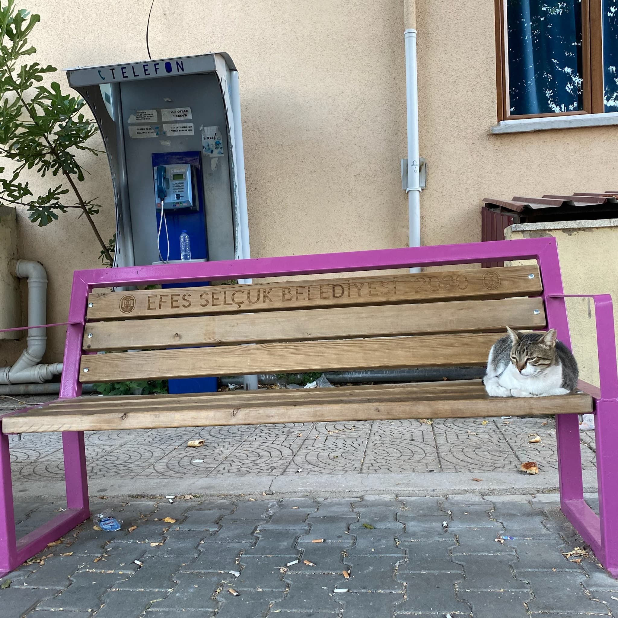 セルチュク・エフェソス旅ログ|38℃の暑さで見たかった遺跡へ